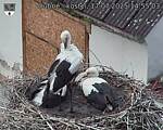 Capi_Dubne_20250717_145503.jpg