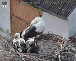 Capi_Dubne_20250717_165502.jpg