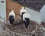 Capi_Dubne_20250717_194003.jpg