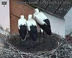 Capi_Dubne_20250717_211002.jpg