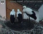 Capi_Dubne_20250717_211503.jpg