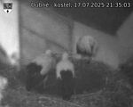 Capi_Dubne_20250717_213503.jpg