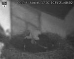 Capi_Dubne_20250717_214002.jpg