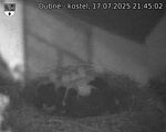 Capi_Dubne_20250717_214502.jpg