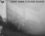 Capi_Dubne_20250717_221002.jpg