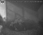 Capi_Dubne_20250718_000003.jpg