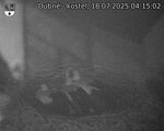Capi_Dubne_20250718_041502.jpg