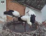 Capi_Dubne_20250718_092002.jpg