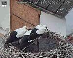 Capi_Dubne_20250718_111504.jpg