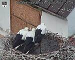 Capi_Dubne_20250718_112504.jpg