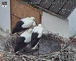 Capi_Dubne_20250718_113502.jpg