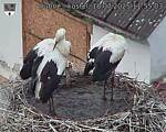 Capi_Dubne_20250718_115503.jpg