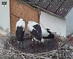 Capi_Dubne_20250718_122002.jpg