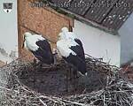 Capi_Dubne_20250718_131503.jpg