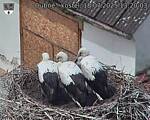 Capi_Dubne_20250718_132003.jpg