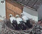 Capi_Dubne_20250718_133004.jpg