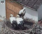 Capi_Dubne_20250718_133503.jpg