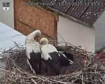 Capi_Dubne_20250718_134503.jpg