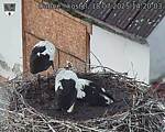Capi_Dubne_20250718_142003.jpg