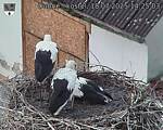 Capi_Dubne_20250718_142503.jpg