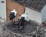 Capi_Dubne_20250718_150503.jpg