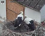 Capi_Dubne_20250718_152003.jpg