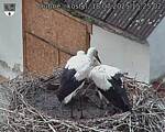 Capi_Dubne_20250718_152502.jpg