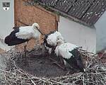 Capi_Dubne_20250718_153004.jpg