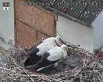 Capi_Dubne_20250718_160002.jpg
