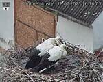 Capi_Dubne_20250718_161003.jpg