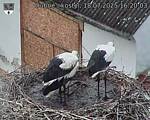Capi_Dubne_20250718_162003.jpg