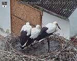 Capi_Dubne_20250718_162503.jpg