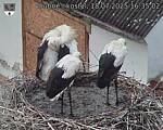 Capi_Dubne_20250718_163502.jpg