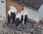 Capi_Dubne_20250718_164502.jpg