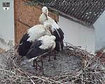 Capi_Dubne_20250718_165003.jpg