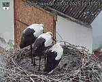 Capi_Dubne_20250718_171003.jpg