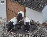 Capi_Dubne_20250718_173503.jpg