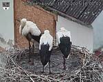Capi_Dubne_20250718_180002.jpg