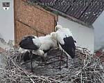 Capi_Dubne_20250718_181003.jpg