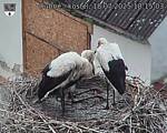 Capi_Dubne_20250718_181503.jpg