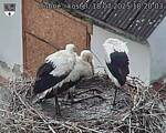 Capi_Dubne_20250718_182003.jpg