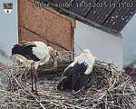 Capi_Dubne_20250718_191502.jpg