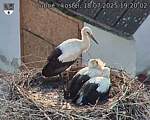 Capi_Dubne_20250718_192002.jpg
