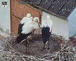 Capi_Dubne_20250718_195003.jpg