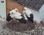 Capi_Dubne_20250718_200003.jpg
