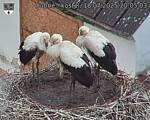 Capi_Dubne_20250718_200503.jpg