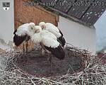 Capi_Dubne_20250718_201503.jpg