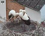 Capi_Dubne_20250718_203504.jpg