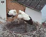 Capi_Dubne_20250718_204003.jpg