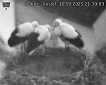 Capi_Dubne_20250718_213003.jpg